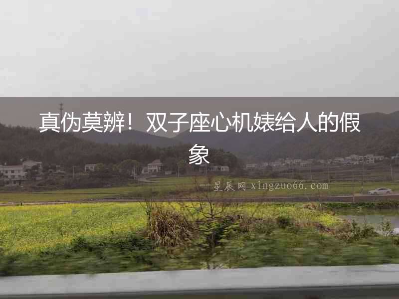 真?zhèn)文?！雙子座心機(jī)婊給人的假象