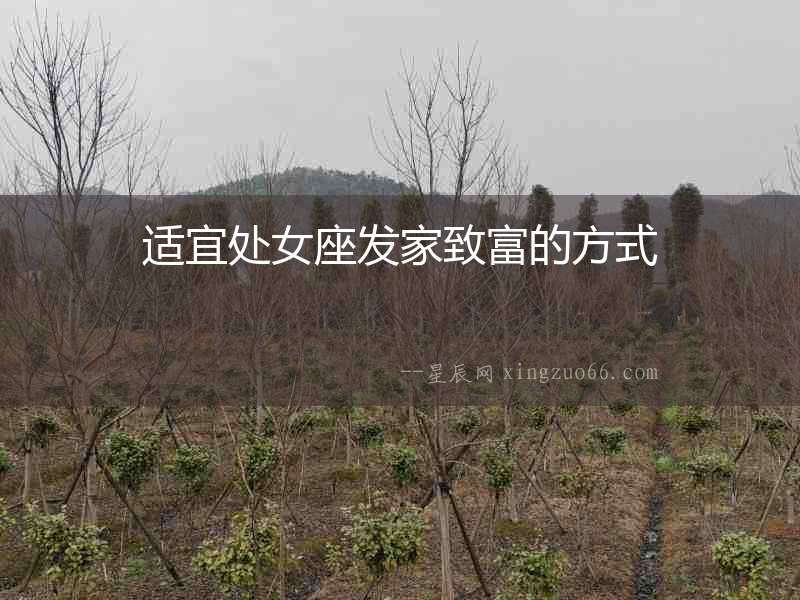 適宜處女座發(fā)家致富的方式