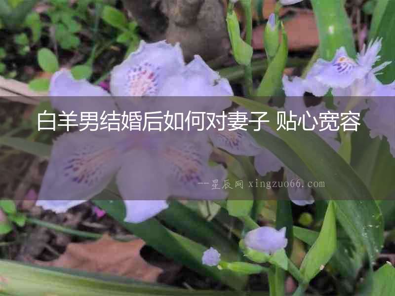 白羊男結婚后如何對妻子 貼心寬容