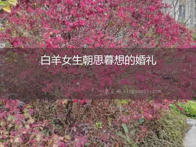 白羊女生朝思暮想的婚禮