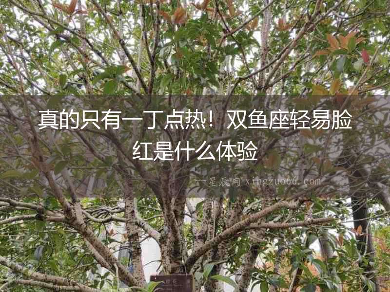真的只有一丁點(diǎn)熱！雙魚(yú)座輕易臉紅是什么體驗(yàn)