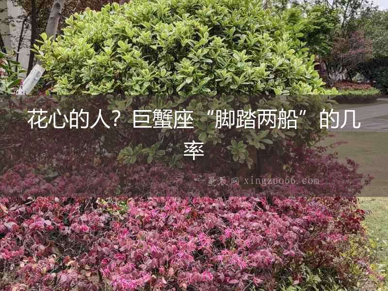 花心的人？巨蟹座“腳踏兩船”的幾率