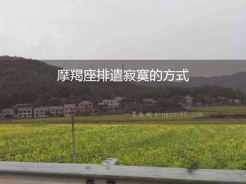 摩羯座排遣寂寞的方式