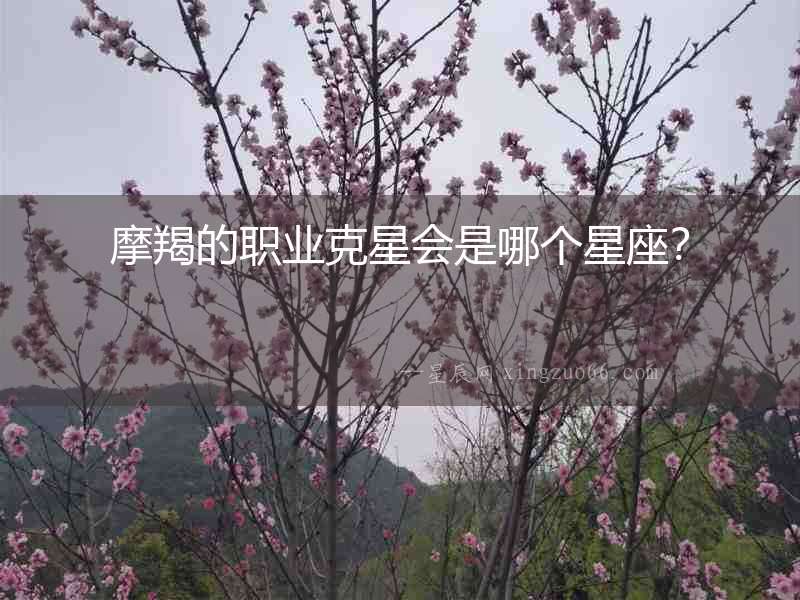 摩羯的職業克星會是哪個星座？