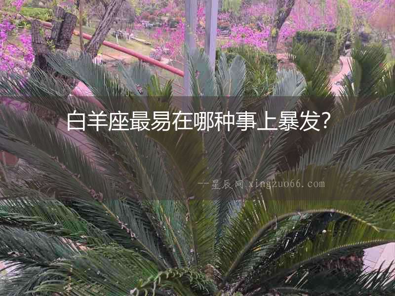 白羊座最易在哪種事上暴發(fā)？