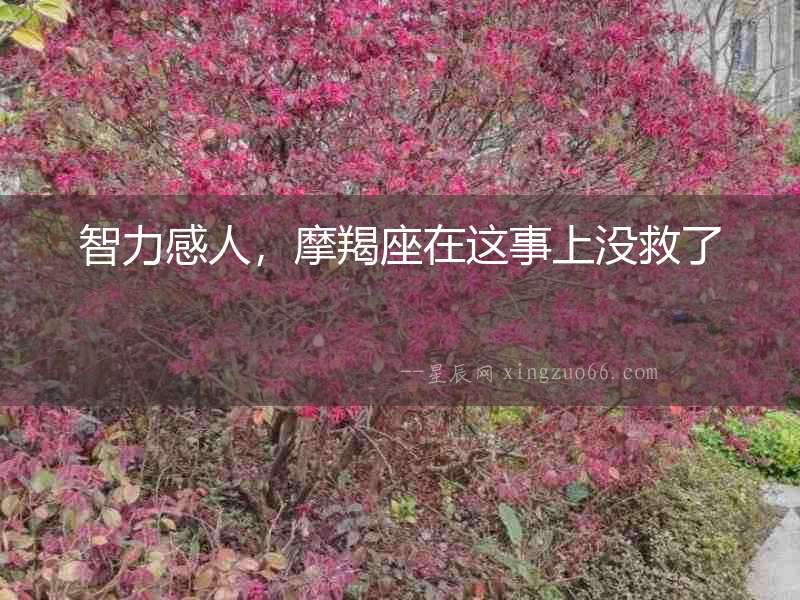 智力感人，摩羯座在這事上沒救了