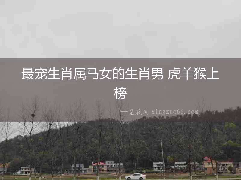 最寵生肖屬馬女的生肖男 虎羊猴上榜