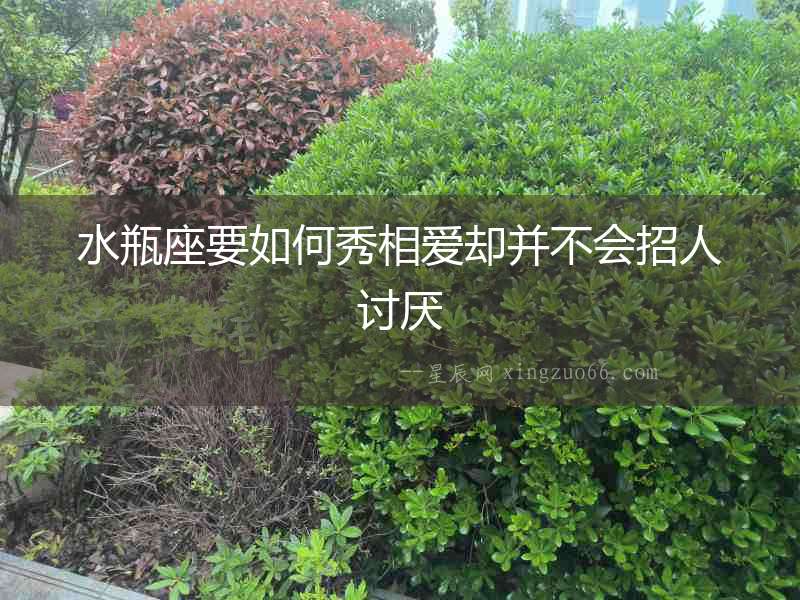 水瓶座要如何秀相愛卻并不會招人討厭