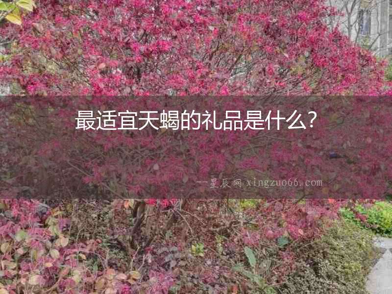 最適宜天蝎的禮品是什么？