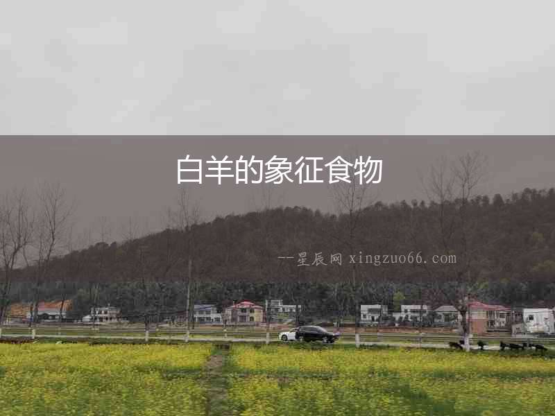 白羊的象征食物