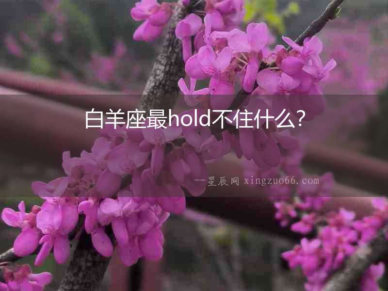 白羊座最hold不住什么？