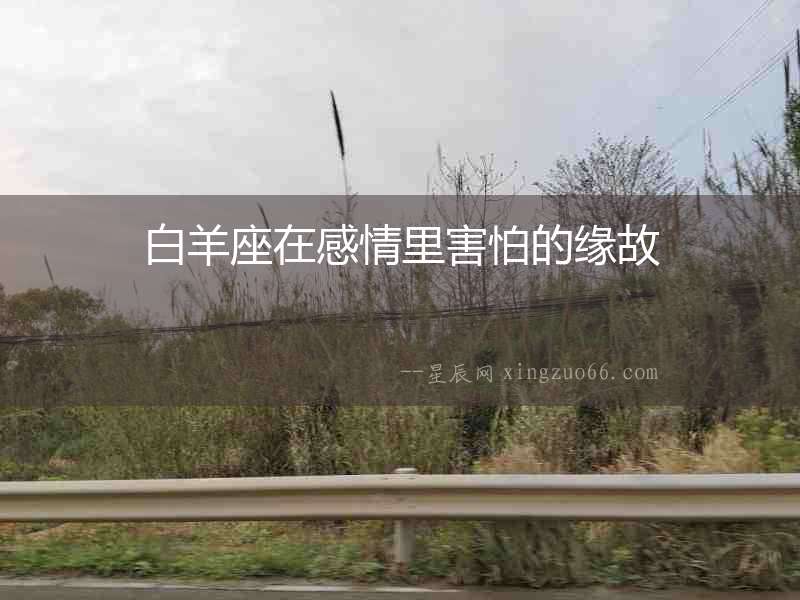 白羊座在感情里害怕的緣故