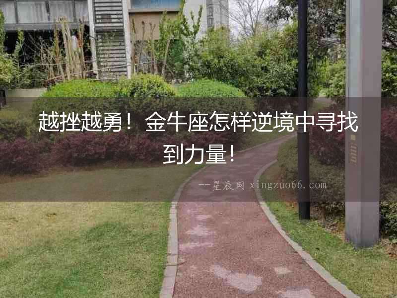 越挫越勇！金牛座怎樣逆境中尋找到力量！