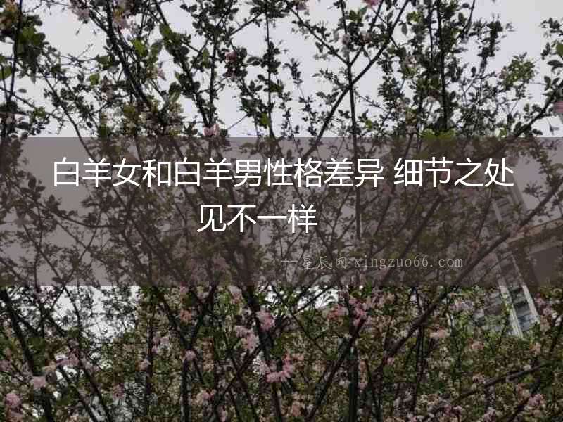 白羊女和白羊男性格差異 細節(jié)之處見不一樣  　　