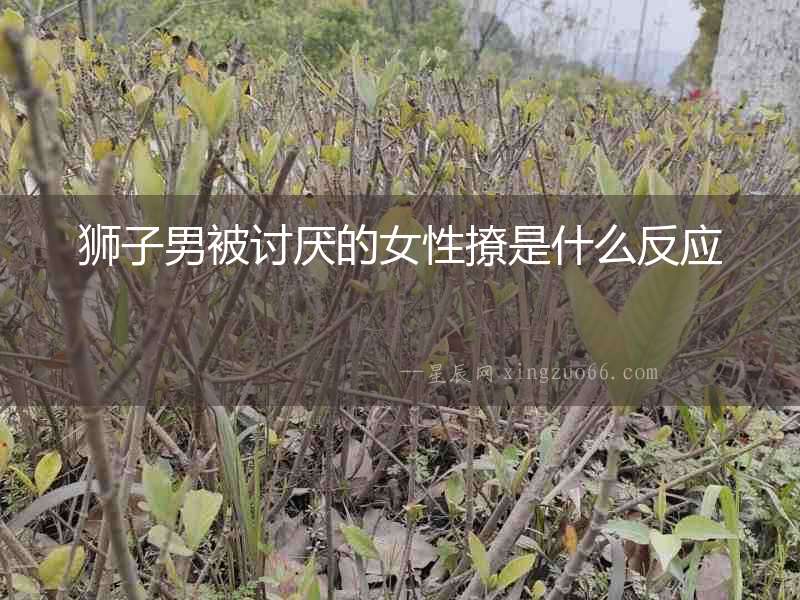 獅子男被討厭的女性撩是什么反應