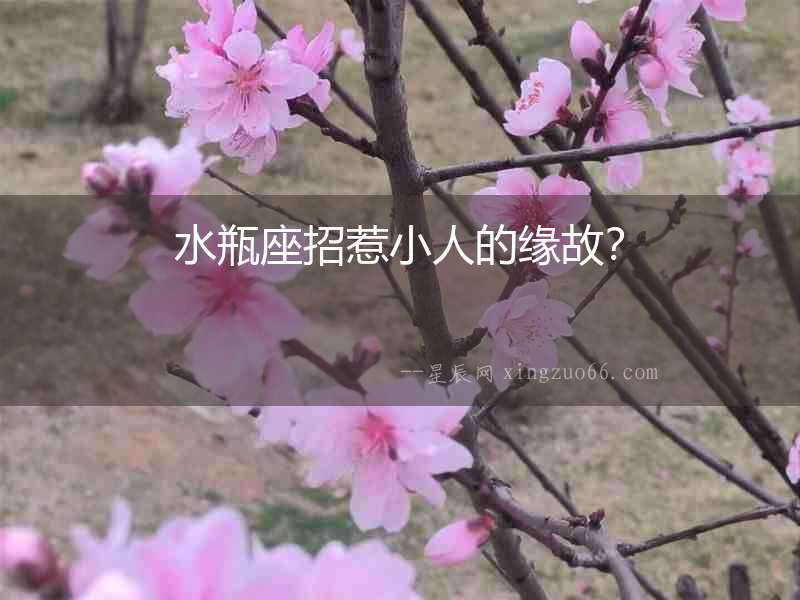 水瓶座招惹小人的緣故？