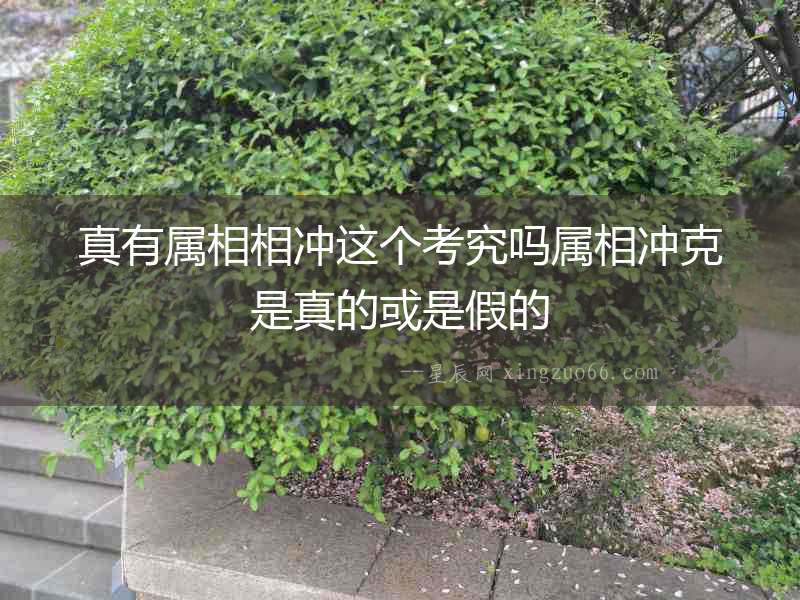 真有屬相相沖這個考究嗎屬相沖克是真的或是假的