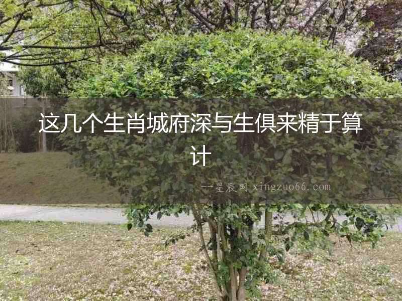 這幾個生肖城府深與生俱來精于算計