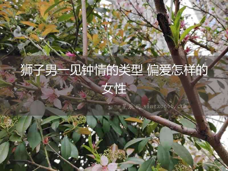 獅子男一見鐘情的類型 偏愛怎樣的女性