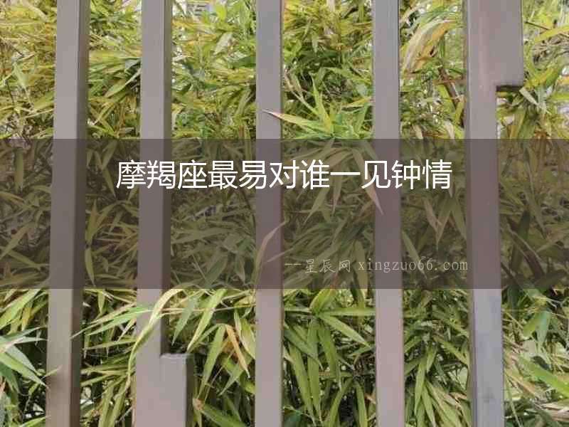 摩羯座最易對誰一見鐘情