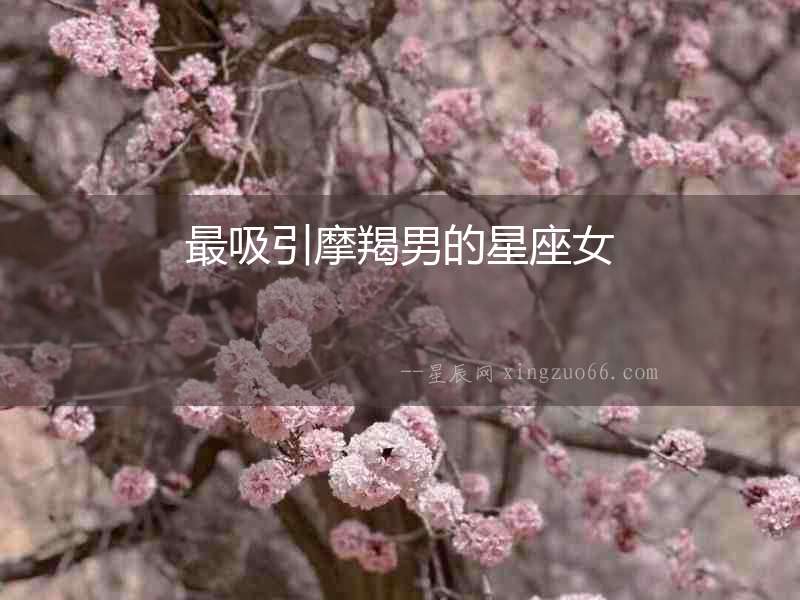 最吸引摩羯男的星座女