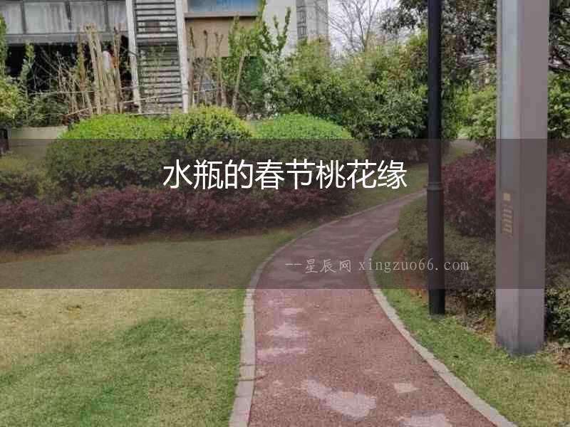 水瓶的春節桃花緣