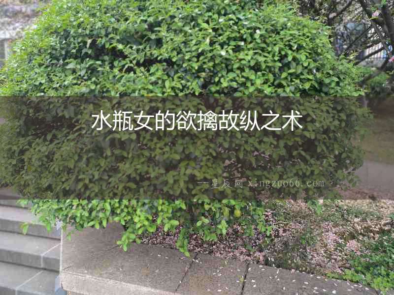 水瓶女的欲擒故縱之術