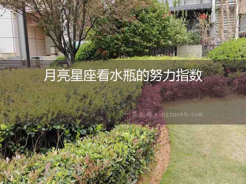 月亮星座看水瓶的努力指數(shù)