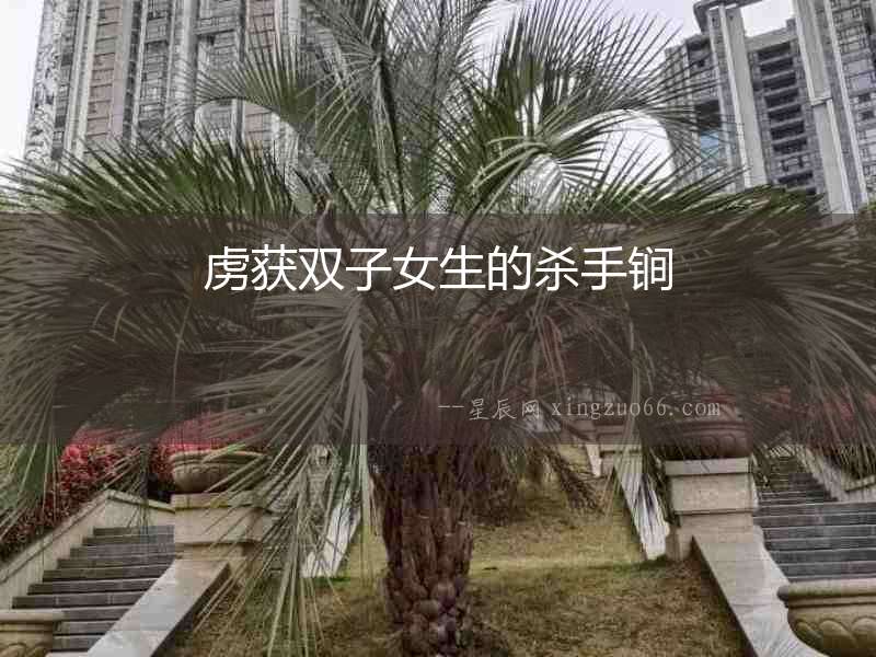 虜獲雙子女生的殺手锏