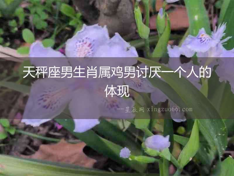 天秤座男生肖屬雞男討厭一個人的體現