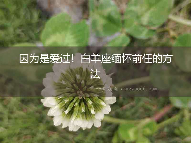 因為是愛過！白羊座緬懷前任的方法