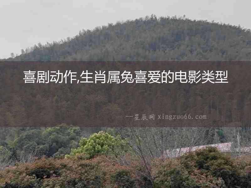 喜劇動(dòng)作,生肖屬兔喜愛的電影類型