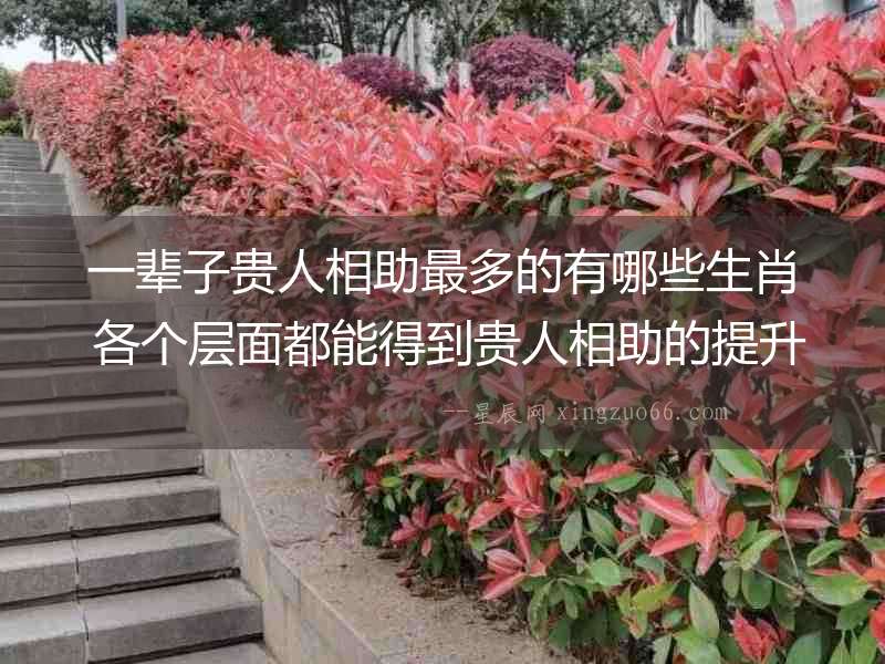 一輩子貴人相助最多的有哪些生肖 各個層面都能得到貴人相助的提升