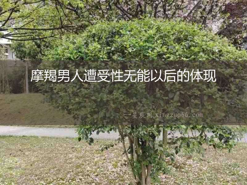 摩羯男人遭受性無能以后的體現(xiàn)