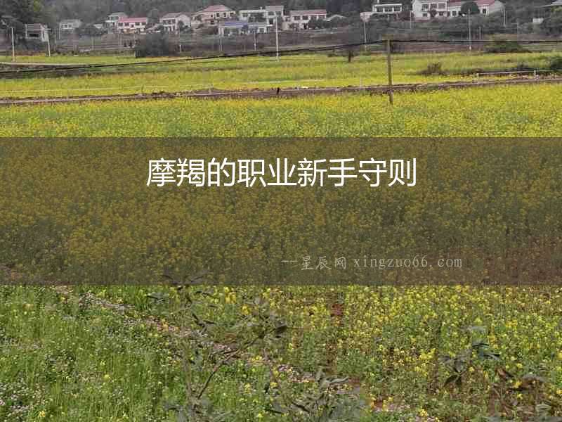 摩羯的職業(yè)新手守則