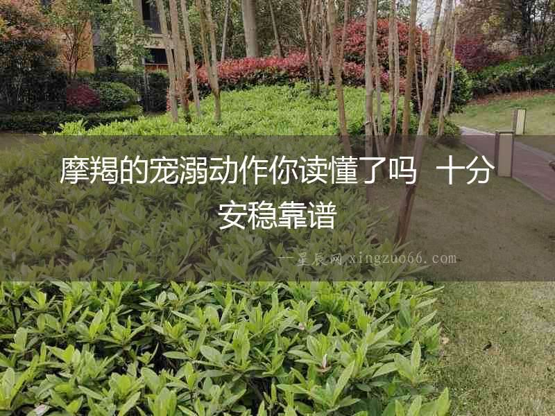 摩羯的寵溺動(dòng)作你讀懂了嗎  十分安穩(wěn)靠譜