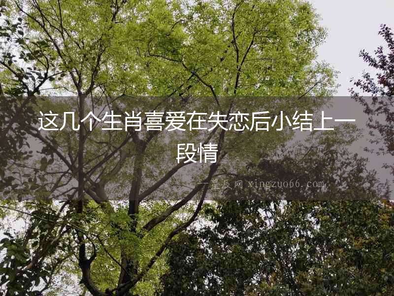 這幾個生肖喜愛在失戀后小結上一段情