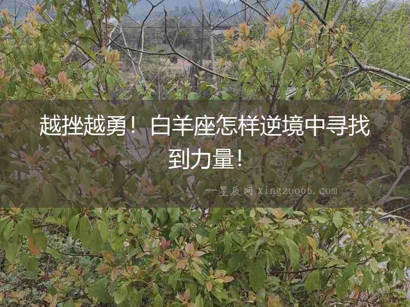 越挫越勇！白羊座怎樣逆境中尋找到力量！