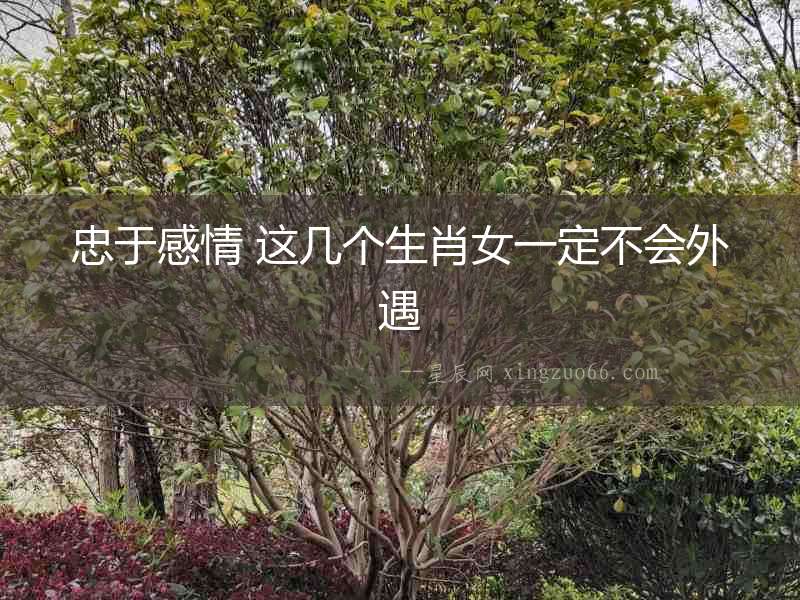 忠于感情 這幾個生肖女一定不會外遇