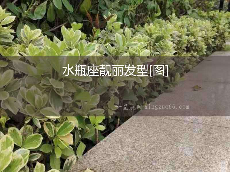 水瓶座靚麗發型[圖]