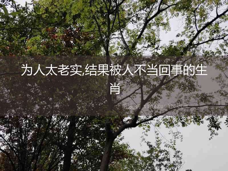為人太老實,結果被人不當回事的生肖