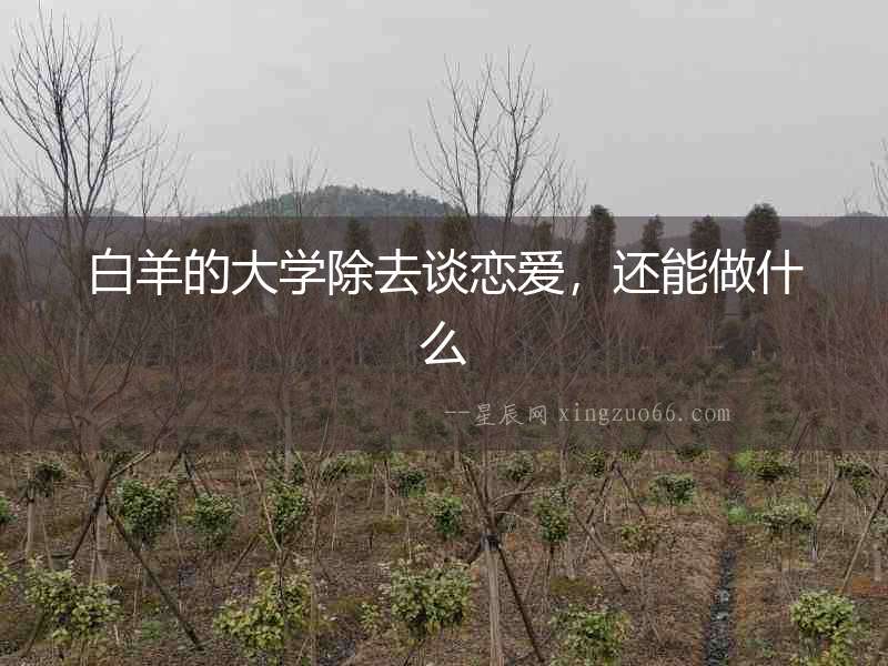 白羊的大學除去談戀愛，還能做什么