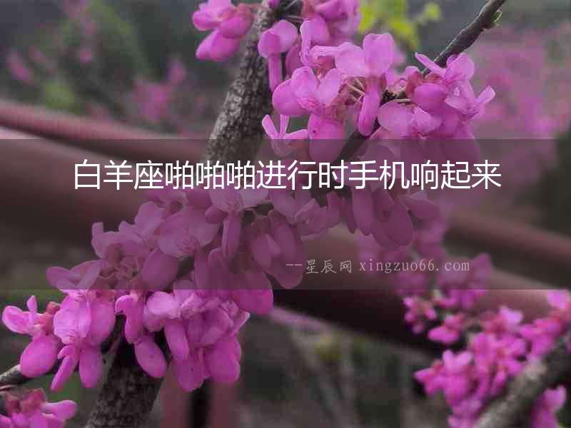 白羊座啪啪啪進行時手機響起來
