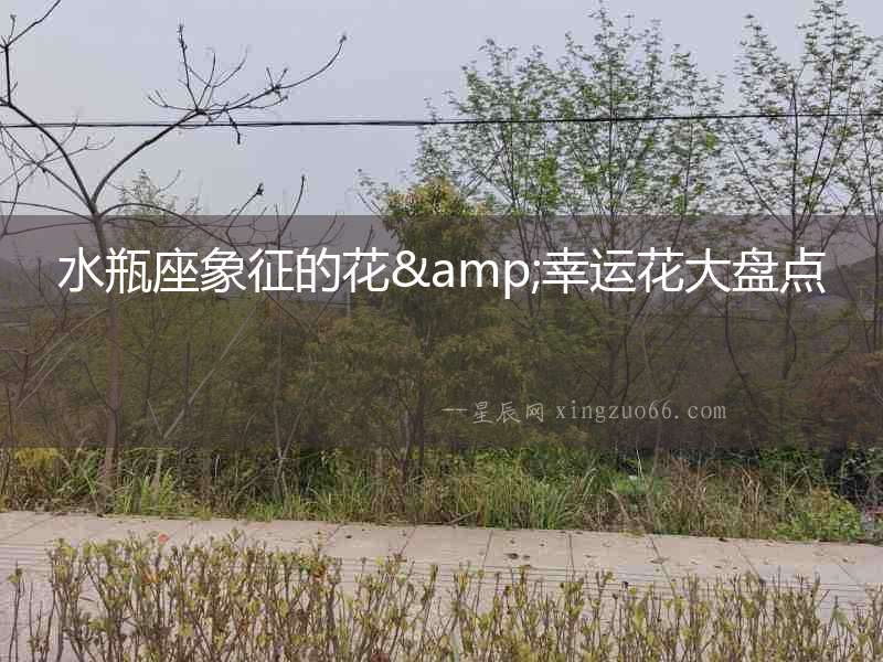 水瓶座象征的花&幸運花大盤點