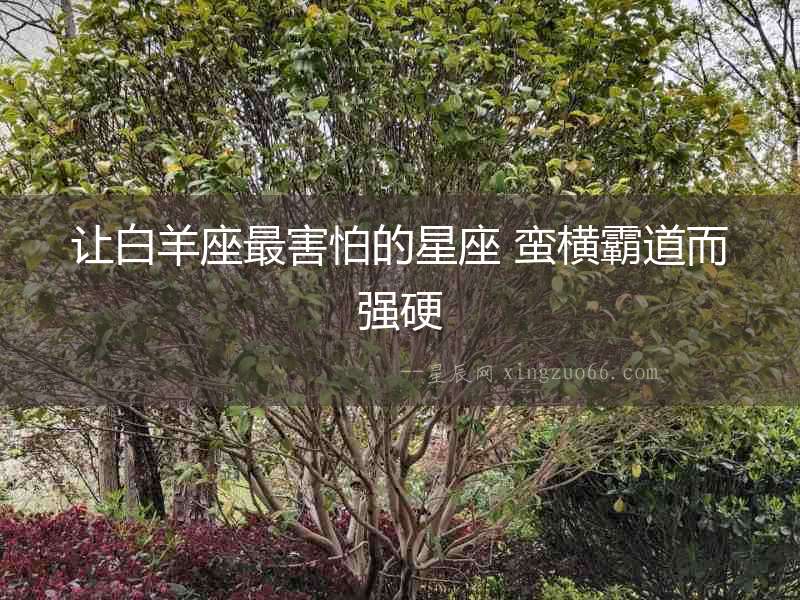 讓白羊座最害怕的星座 蠻橫霸道而強(qiáng)硬