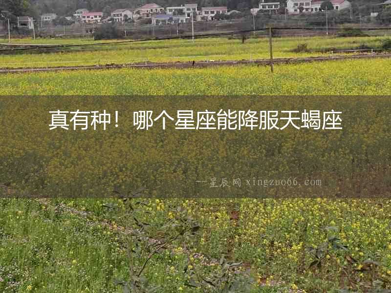 真有種！哪個星座能降服天蝎座