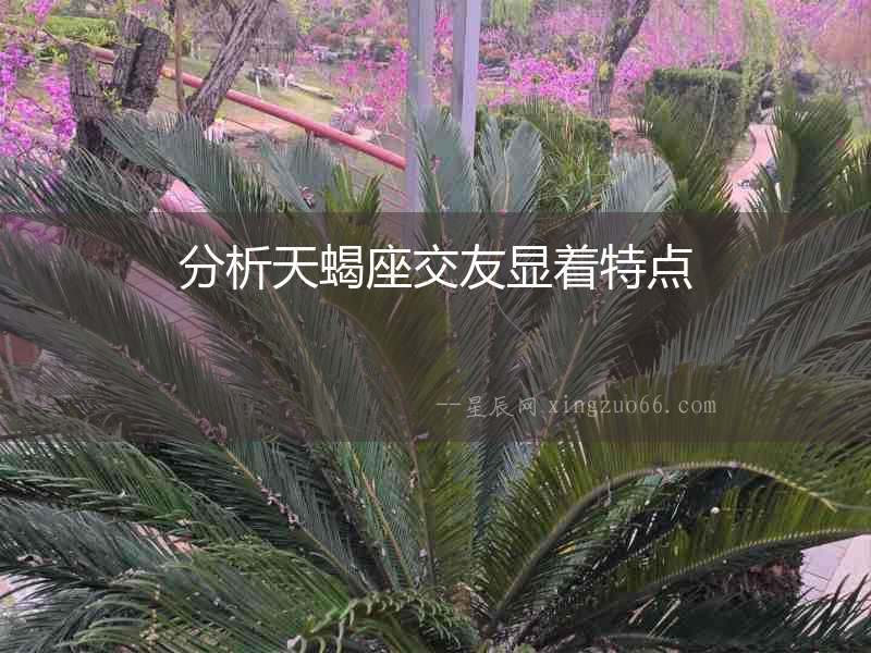 分析天蝎座交友顯著特點