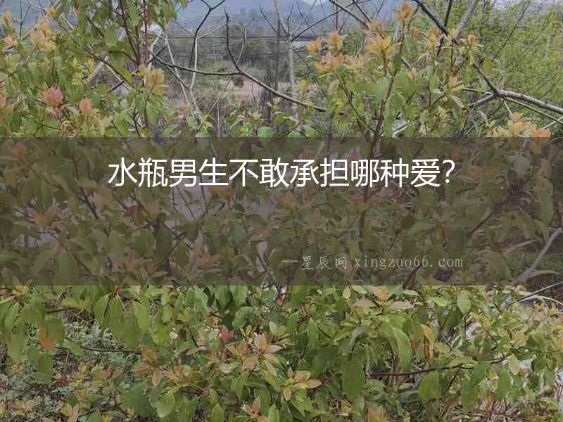 水瓶男生不敢承擔哪種愛？
