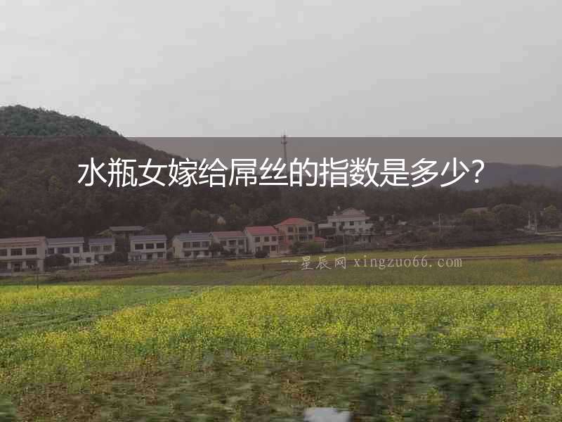 水瓶女嫁給屌絲的指數是多少？