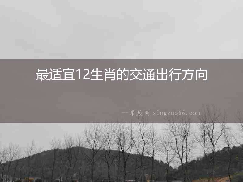 最適宜12生肖的交通出行方向